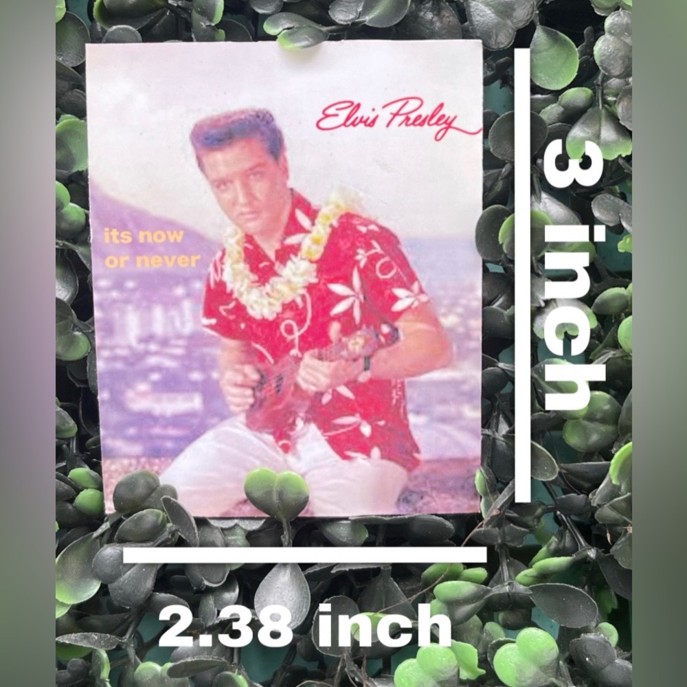 Elvis magnet